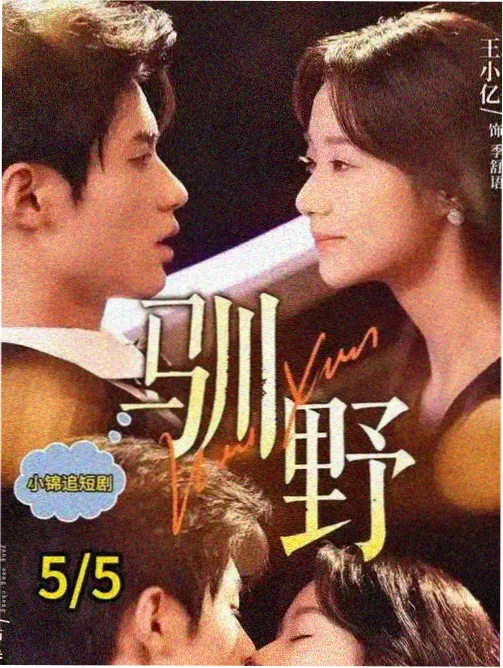 焦点影视快播标本库：旧城十二时剧集海报